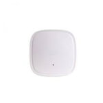 Catalyst 9130 access points